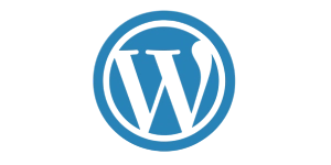 web development expert
